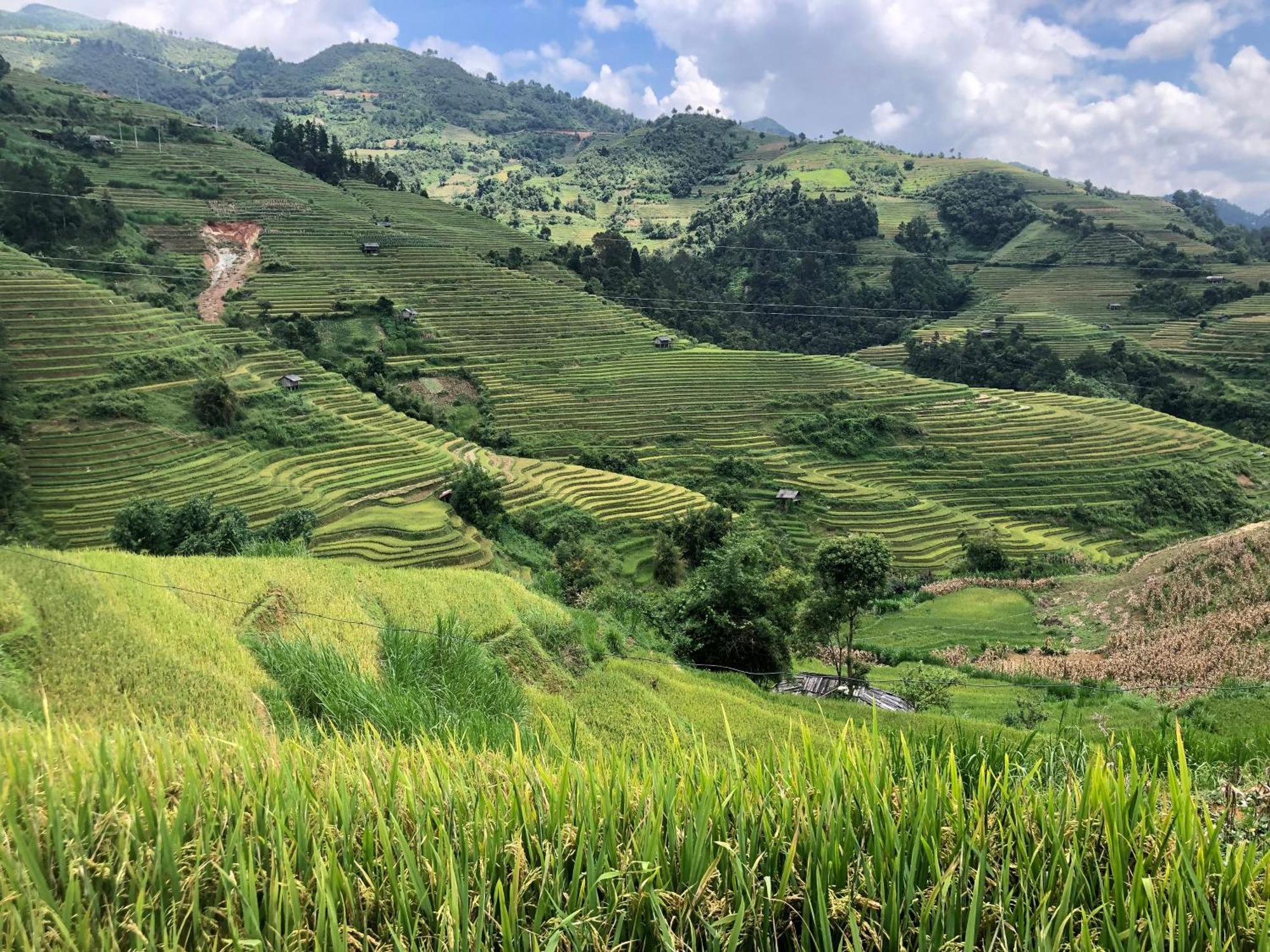 Do Gu Homestay Mu Cang Chai Luaran gambar