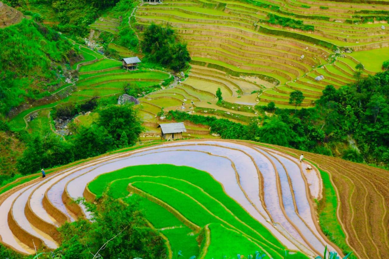 Do Gu Homestay Mu Cang Chai Luaran gambar