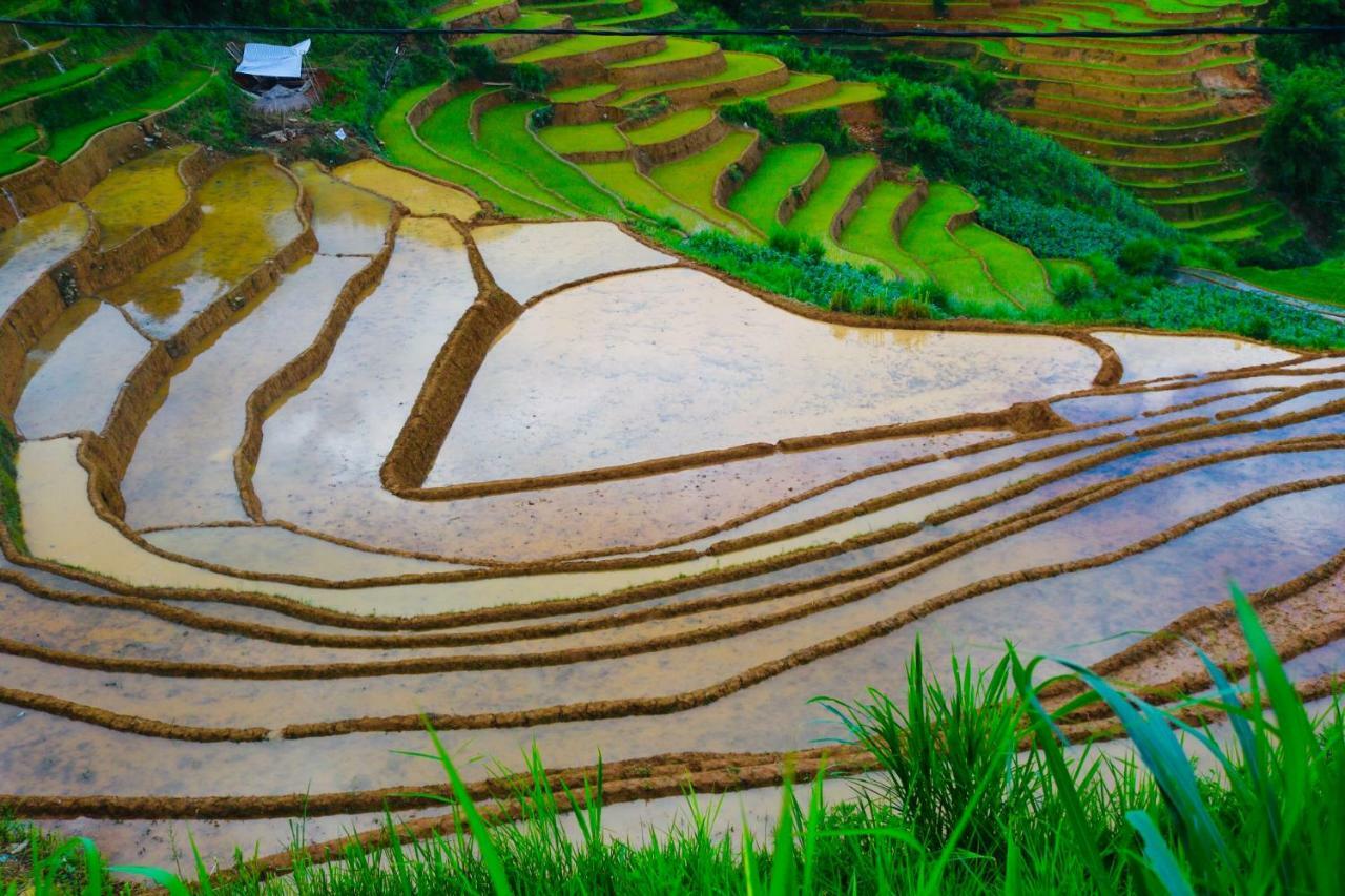 Do Gu Homestay Mu Cang Chai Luaran gambar